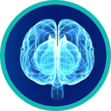 Magnesium and the nervous system